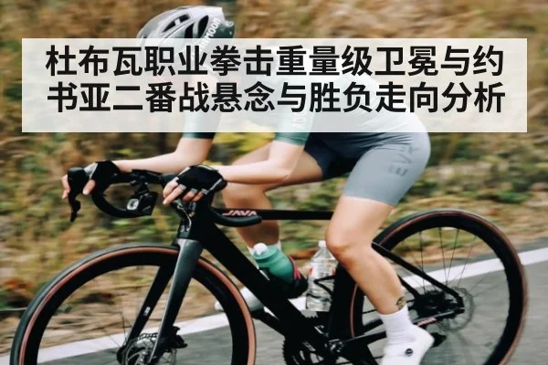 杜布瓦职业拳击重量级卫冕与约书亚二番战悬念与胜负走向分析（kaiyun）